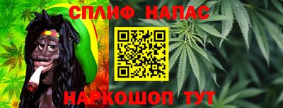 прущие грибы Коммунар